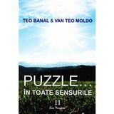 Puzzle... In toate sensurile vol.2 - Teo Banal, Van Teo Moldo, editura Ecou Transilvan