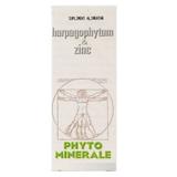 Harpagophytum si Zinc Medica, 60 capsule