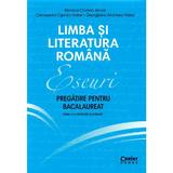 Limba si literatura romana. Eseuri. Pregatire pentru bacalaureat - Monica Cristina Anisie, editura Corint