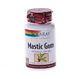 Mastic Gum Secom, 45 capsule