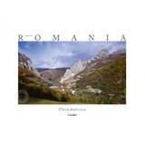 Made In Romania - Lb. Romana - Florin Andreescu, editura Ad Libri