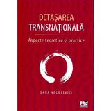 Detasarea transnationala - Dana Volosevici, editura Pro Universitaria