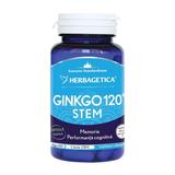 Ginkgo 120+ Stem Herbagetica, 60 capsule