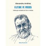 Fluture pe Perdea - Alexandru Andries, Editura Paralela 45