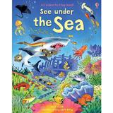See Under the Sea - Kate Davies, editura Usborne Publishing