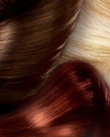 Vopsea Profesionala Culoare Violet Estetoro
