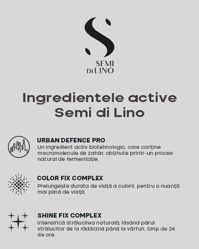 SEMI DI LINO<