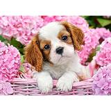 Puzzle 180 - Pup in pink flowers