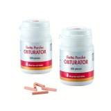 Gutaperca pentru Sistemul de Obturare Endo Master - Cerkamed Gutta Percha Obturator Soft, 100 buc