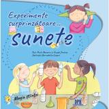 Experimente surprinzatoare cu sunete - Paula Navarro, Angels Jimenez, editura Didactica Publishing House