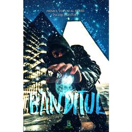 Banditul - larisa s. maria, editura berg
