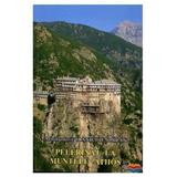 Pelerinaj La Muntele Athos - Ioanichie Balan, editura Manastirea Sihastria