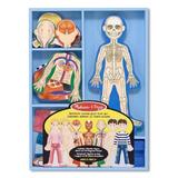 Joc educativ - Magnetic human body. Corpul uman