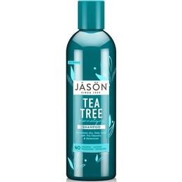 Sampon tratament scalp iritat, 517ml, Jason