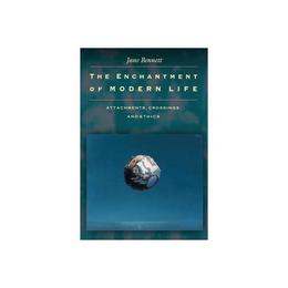 Enchantment of Modern Life, editura University Press Group Ltd