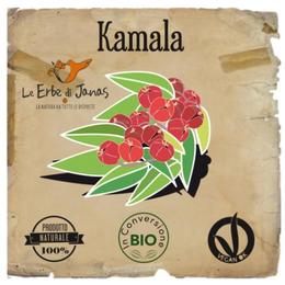 Vopsea organica - Pudra ayurvedica de Kamala - Erbe di Janas culoare aramiu, 100gr