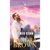 Demon Rumm - Sandra Brown, editura Litera