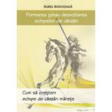 Formarea si sau dezvoltarea echipelor de vanzari - Aurel Boncioaga, editura Brasov