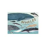 Whales, editura Random House Usa Inc