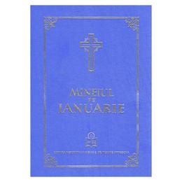 Mineiul pe ianuarie, editura institutul biblic