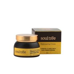 Crema antirid cu turmeric si amla - Soultree, 60 ml