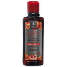 Sampon cu extract de chihlimbar pentru par deteriorat - farmona jantar shampoo with amber extract for damaged and weak hair, 100ml