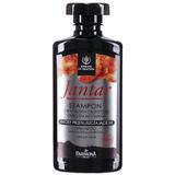 Sampon cu Extract de Chihlimbar si Carbune pentru Par Gras - Farmona Jantar Shampoo with Amber Extract & Charcoal for Greasy Hair, 330ml