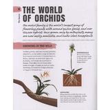 happy-orchid-editura-dorling-kindersley-3.jpg