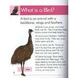 birds-go-facts-animals-editura-blake-education-2.jpg