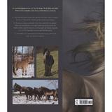 horses-editura-bloomsbury-publishing-2.jpg