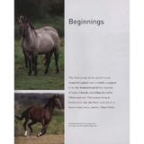 horses-editura-bloomsbury-publishing-3.jpg