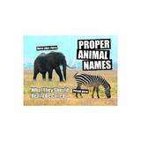 Proper Animal Names, editura Summersdale Publishers