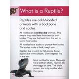 reptiles-go-facts-animals-editura-blake-education-3.jpg