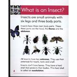 insects-go-facts-animals-editura-blake-education-3.jpg