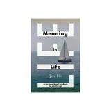 Meaning in Life, editura Palgrave Macmillan Higher Ed