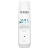 Sampon Antimatreata - Goldwell Dualsenses Scalp Specialist Antidandruff Shampoo 250 ml