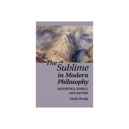 Sublime in Modern Philosophy, editura Cambridge University Press
