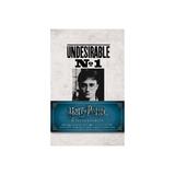 Harry Potter: Wanted Posters Pocket Journal Collection, editura Insight