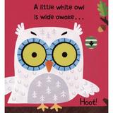 little-owl-little-owl-can-t-you-sleep-editura-macmillan-children-s-books-2.jpg