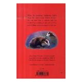 tilly-and-the-badgers-editura-hachette-kids-orchard-books-2.jpg