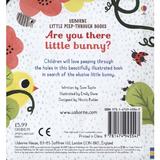 are-you-there-little-bunny-editura-usborne-publishing-2.jpg