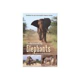 Understanding elephants, editura Random House Struik