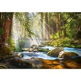 puzzle-500-forest-stream-of-light-2.jpg
