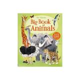 Big Book of Animals, editura Usborne Publishing