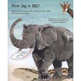 big-book-of-animals-editura-usborne-publishing-3.jpg