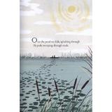 over-and-under-the-pond-editura-chronicle-books-childrens-3.jpg