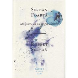 Multimea cu un singur element - serban foarta, editura cartier