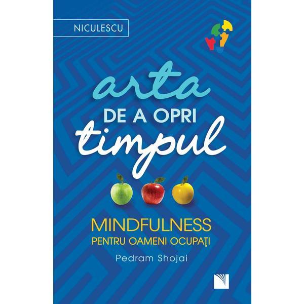 Arta de a opri timpul - pedram shojai, editura niculescu
