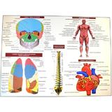 anatomia-omului-plansa-nr-1-editura-carta-atlas-2.jpg