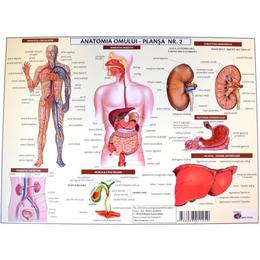 Anatomia omului - plansa nr.2, editura Carta Atlas
